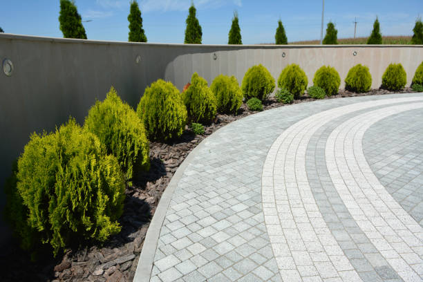 Best Custom Driveway Pavers  in Rendon, TX